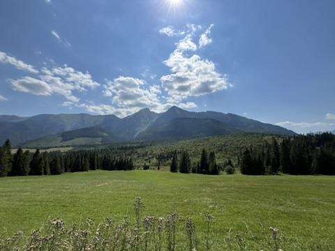 Rumunia – zdjęcie 27